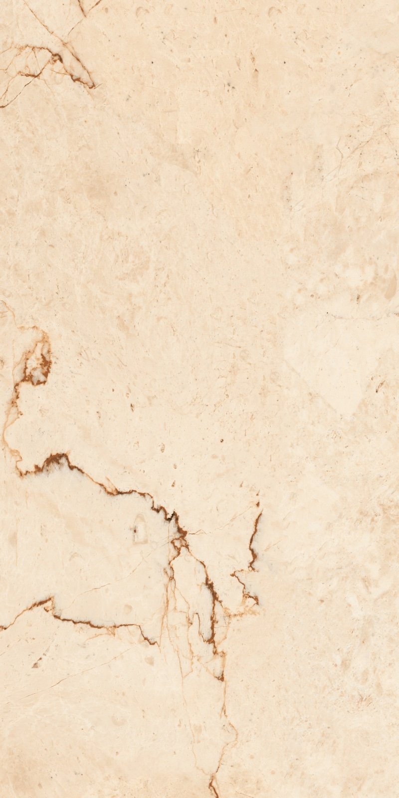 CR Marmol Latte — Cream Marble Collection