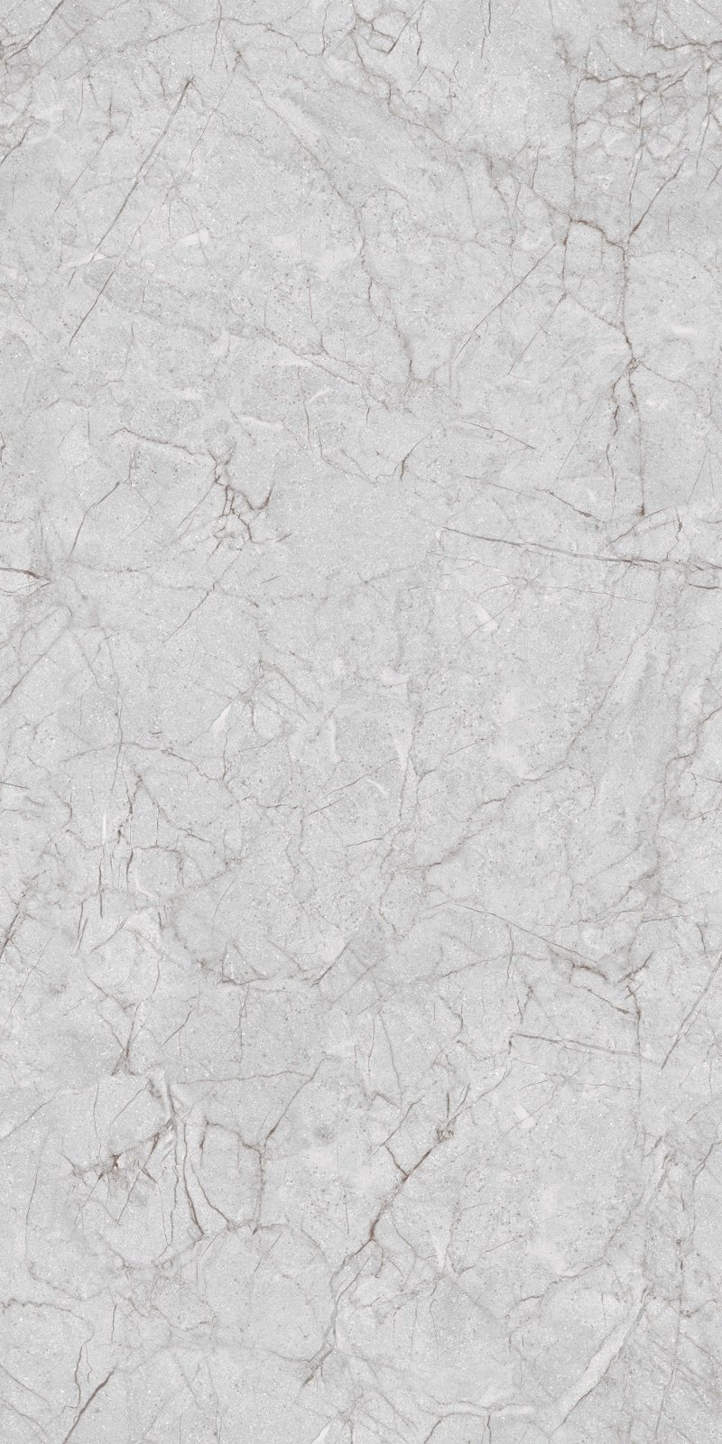 Trendy Grey — Universal Grey Porcelain