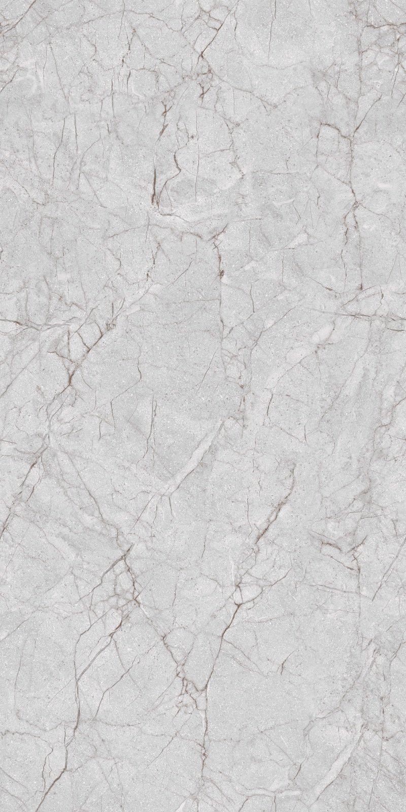 Trendy Grey — Universal Grey Porcelain